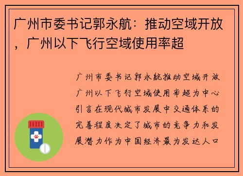 广州市委书记郭永航：推动空域开放，广州以下飞行空域使用率超