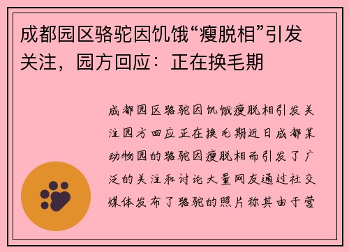 成都园区骆驼因饥饿“瘦脱相”引发关注，园方回应：正在换毛期