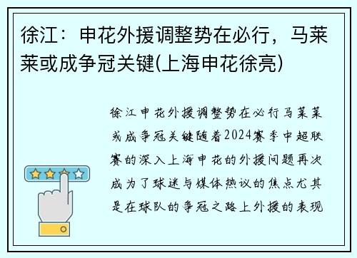 徐江：申花外援调整势在必行，马莱莱或成争冠关键(上海申花徐亮)