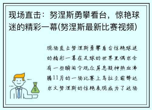 现场直击：努涅斯勇攀看台，惊艳球迷的精彩一幕(努涅斯最新比赛视频)